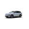 Leap Motor C11 DM